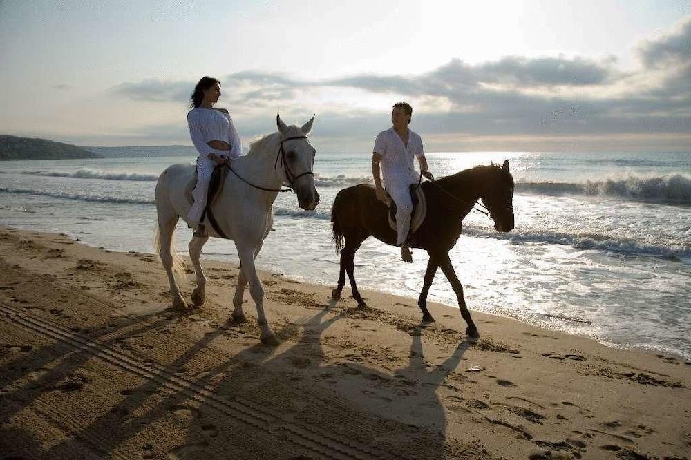 Hotel Orhidea Albena Bagian luar foto